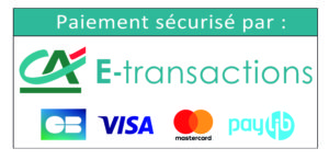 ca-e-transactions-cb-visa-mastercard-paylib